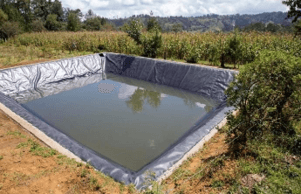 Geomembrana de Polietileno (HDPE/LLDPE)